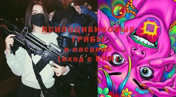 дживик Белоозёрский