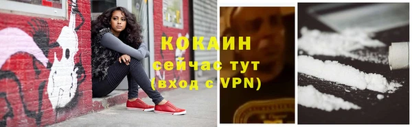 дживик Белоозёрский
