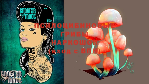 дживик Белоозёрский